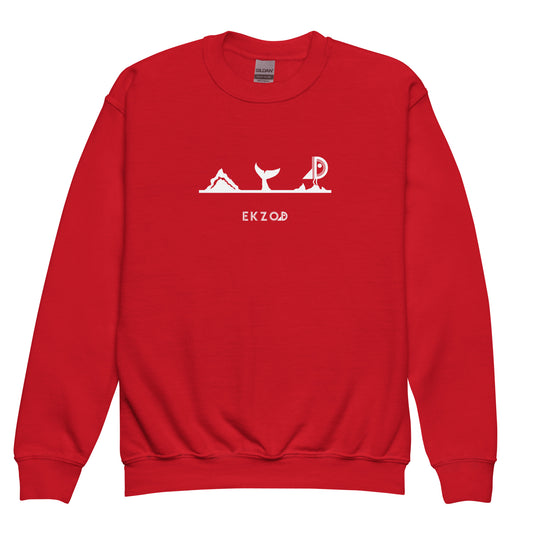 Red sweatshirt for children aged 8/16